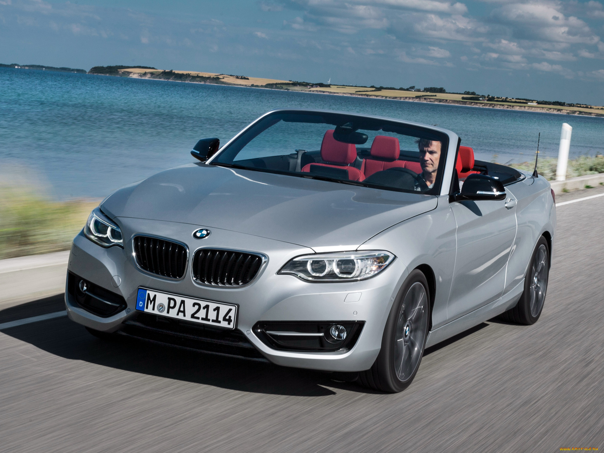 , bmw, line, sport, cabrio, 228i, , 2014, f23